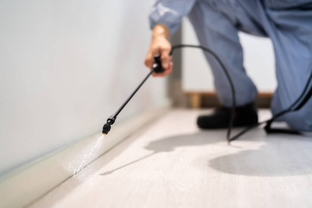 Licensed Termite Control service in Manassas, VA - Nex Pest Control