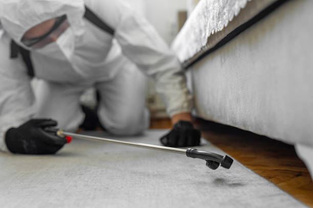 Professional Termite Control technician working in Manassas, VA