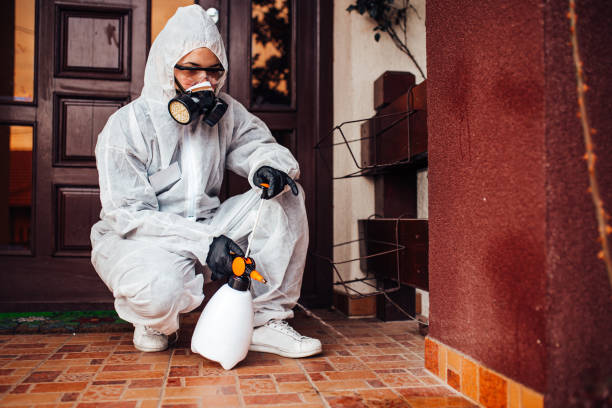 Reliable Termite Control contractor in Manassas, VA by Nex Pest Control