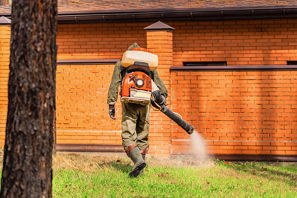 Top rated local Termite Control specialists in Manassas, VA